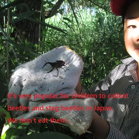 Bikkuri Rietan * Kijimadaira