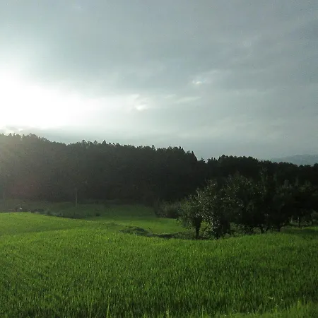 Bikkuri Rietan *