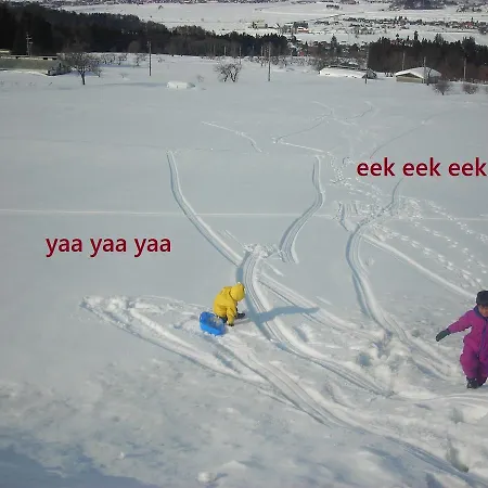 Bikkuri Rietan
