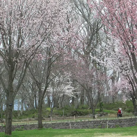 Bikkuri Rietan イン 木島平村
